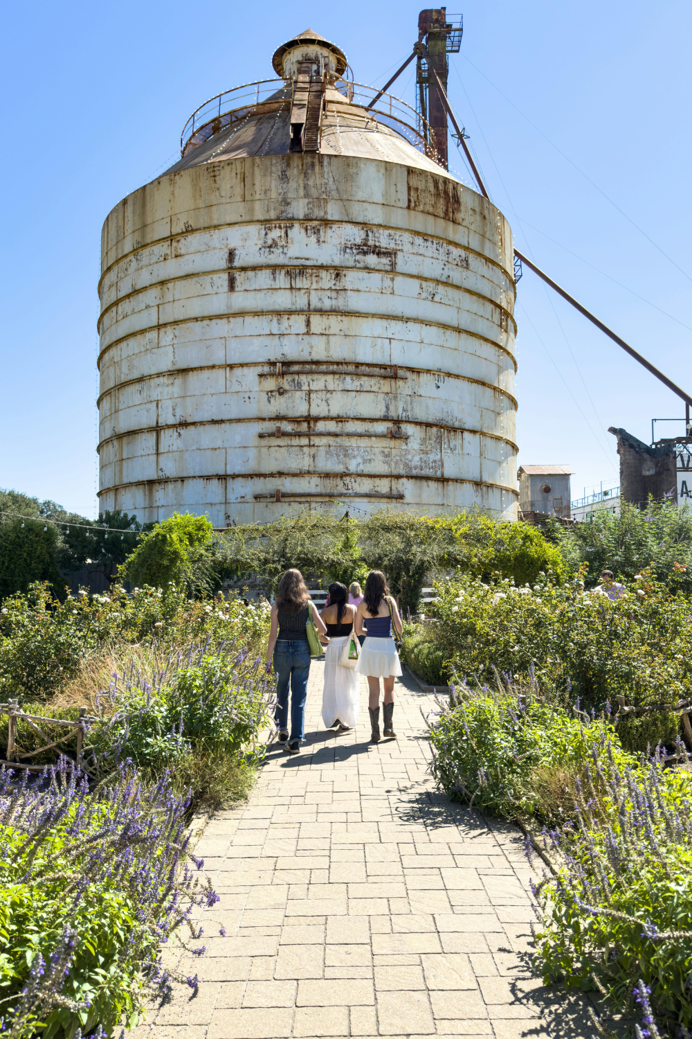 17 Best Day Trips From Austin: Unforgettable Central Texas Getaways